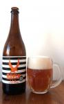 Raven - Illegal Pale Ale 15°,  lahev a sklenice